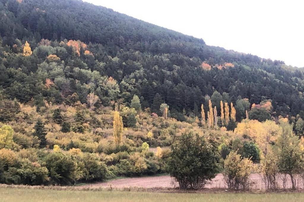 Rincon De Pepo Daire Villanúa Dış mekan fotoğraf